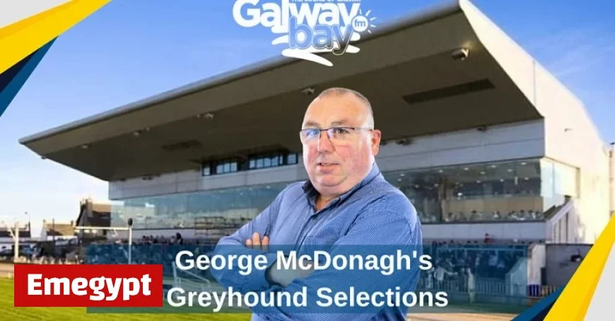 Discover George McDonagh’s Top Greyhound Picks for the Weekend
