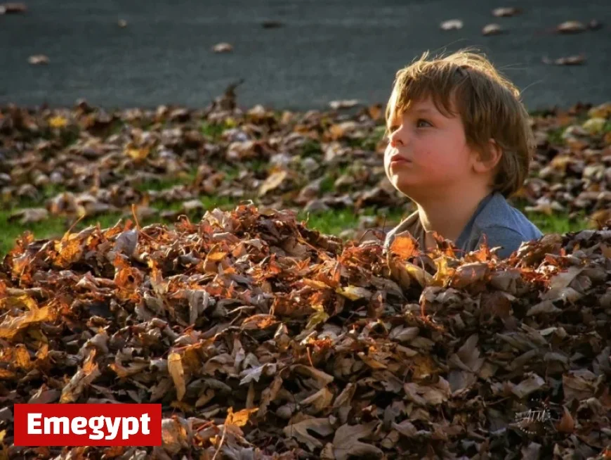 Severe Weather Forecast for Thursday, Friday, and Halloween