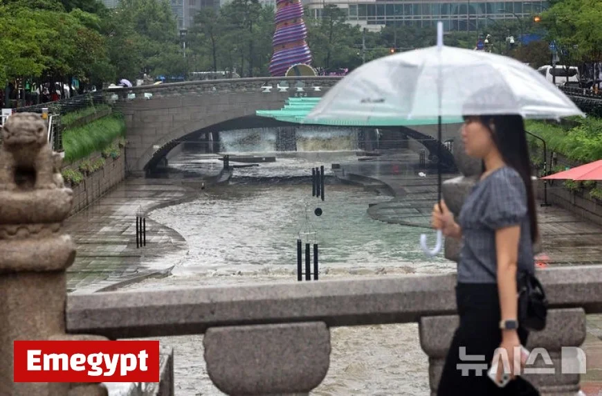 Rain Hits Central and Jeolla Tonight; Dense Fog Expected Tomorrow