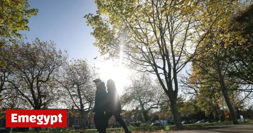 Ireland Weather Alert: Status Yellow Rain and Wind Warnings Issued for Multiple Counties Today