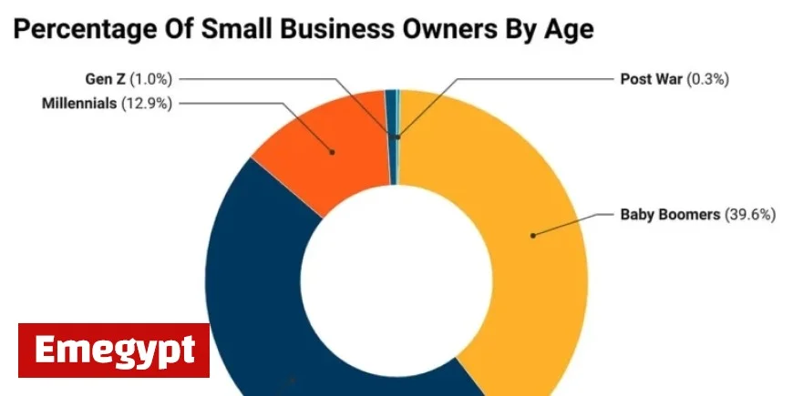 Understanding the Impact of the Silver Tsunami