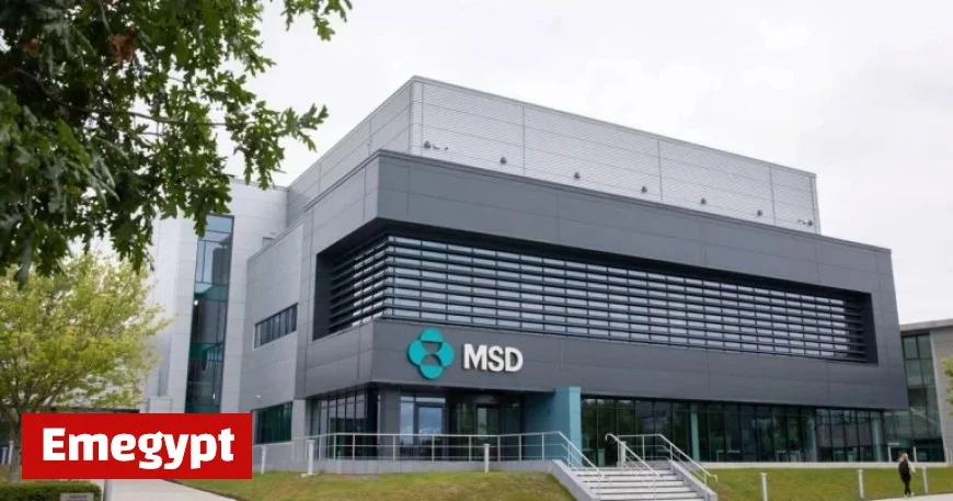 MSD Surpasses Revenue Forecasts with Strategic Shift to Innovative Drugs