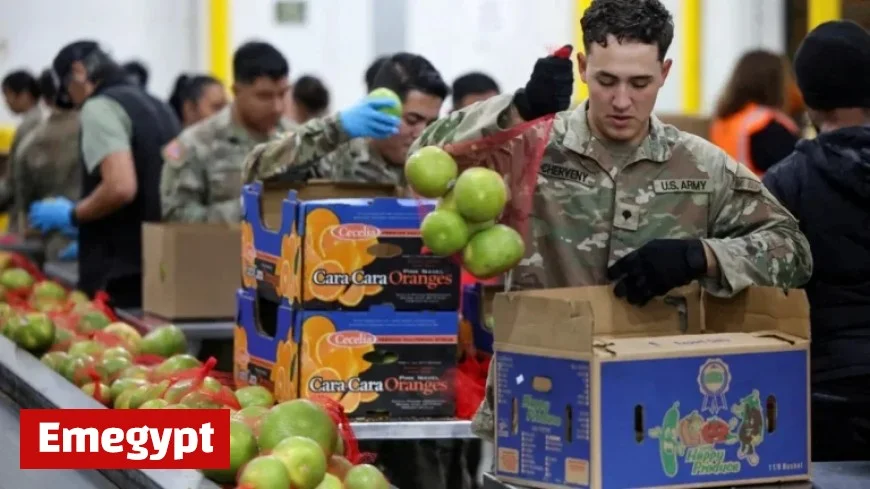 Shutdown Pain Intensifies: Is a Turning Point Near?