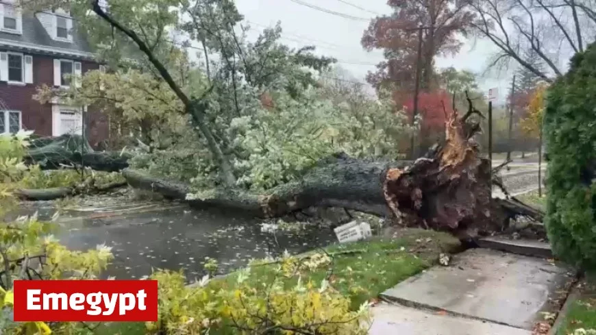 Heavy Rain and Winds Disrupt Transit, Cause Damage in NYC and NJ
