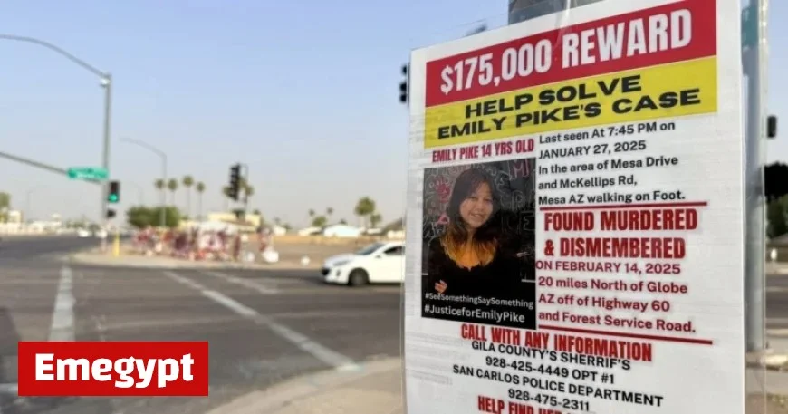 Turquoise Alert in Arizona: Over 300 Reported Missing