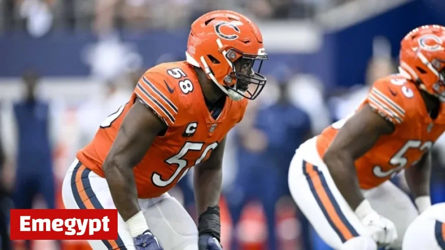 Former Player’s Closure Key to Bears’ Victory Over Ravens