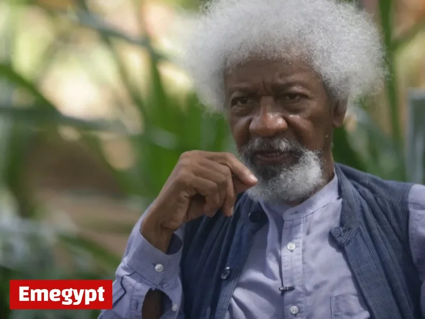 US Revokes Visa of Nigerian Nobel Laureate Wole Soyinka