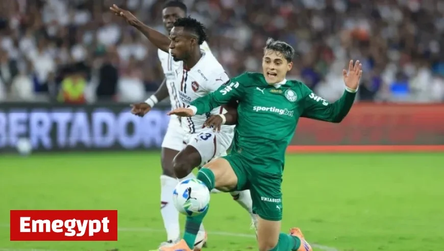 Palmeiras Battles LDU Quito: Copa Libertadores Betting Odds and Predictions