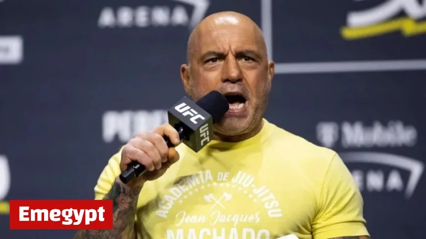 UFC Legend Criticizes Joe Rogan’s Fighting Expertise