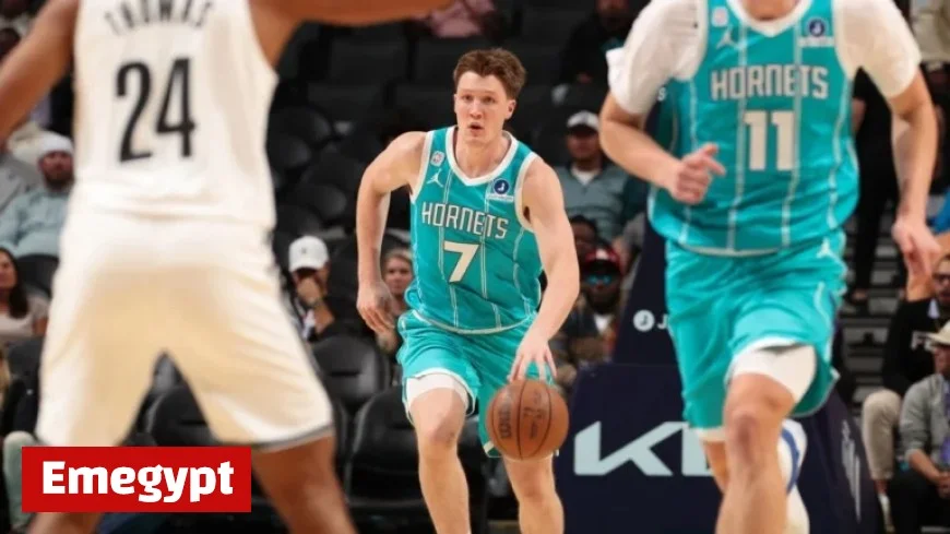 Fantasy Picks and Betting Tips: Streamline Your Team with Hornets or Heat Players