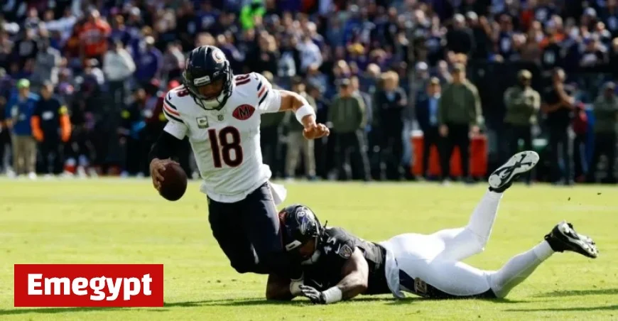 Ravens vs. Bears: Week 8 Rookie Performance Analysis