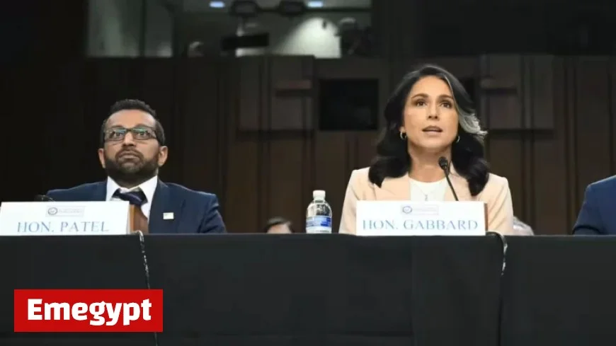 Gabbard and Patel Face Off Again: FBI Counterintelligence Letter Revealed