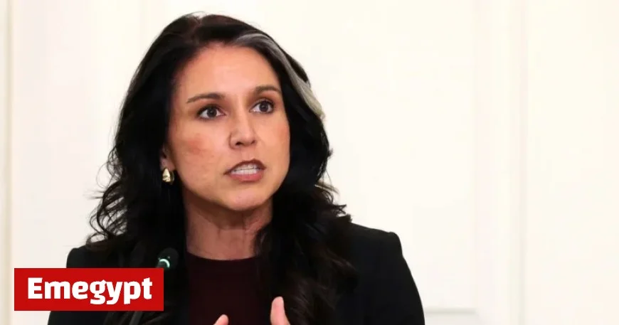 FBI Criticizes House Plan to Appoint Gabbard in Counterintelligence Role