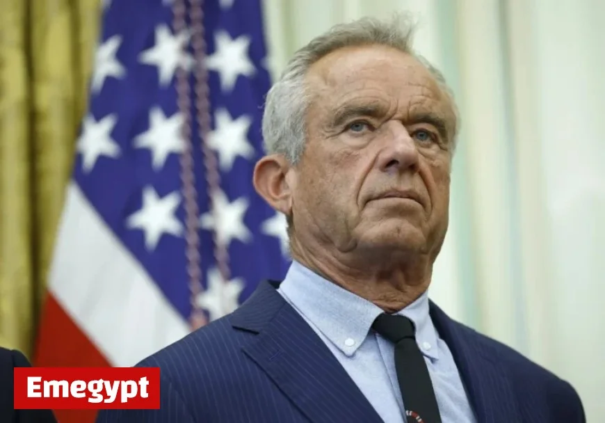 Trump Administration Questions Wind Farms’ Impact: A Fact Check Exploration