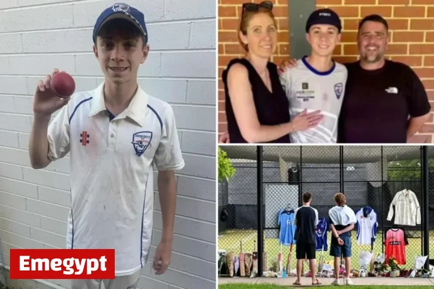 Teen Dies After Cricket Ball Strike: Community Utterly Devastated