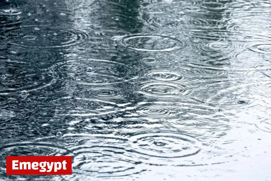 Waterloo Weather Forecast for Tomorrow: Expect Windy Conditions and Morning Showers