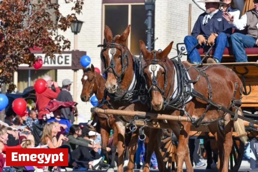 Nevada Day Parade 2025 Reveals Exciting Lineup