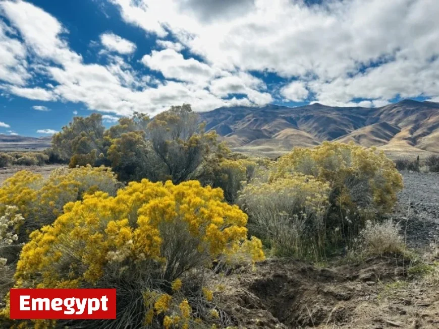 Nevada Celebrates 161 Years with Gold, Ghosts, and UFO Mystique
