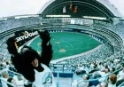 Exploring the Exciting Origins of Blue Jays Baseball