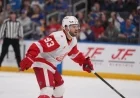 Stream Red Wings vs. Ducks NHL Game Today for Free