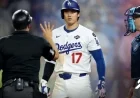 MLB Urged to Abolish Intentional Walks Following Shohei Ohtani Incident