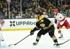 Hurricanes vs Bruins November 1: Key Injuries Inactive Players and Latest Updates