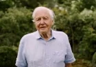 David Attenborough Supports Ambitious Nature Recovery Project as Big as Athens