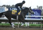 Breeders’ Cup Classic Wide Open as Sovereignty Withdraws From Exciting Field
