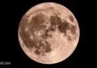 November 2 Moon Phase: Explore Today’s Lunar Display