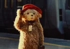 Discover How Paddington Producers Mastered Social Media for the Bear’s Grand Unveiling