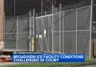 Witnesses Detail Unsanitary Conditions at Chicago ICE Facility in Broadview