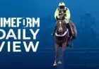 Boost Your Wednesday Wins with Timeform Daily View Preview and Expert Tips