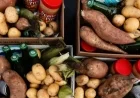 Trump Official Reports Higher Estimate for Partial SNAP Benefits