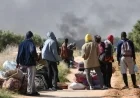 North African Nation Pledges Migration Solution to Europe