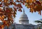 Bill Proposes Ending Shutdown Pay for Congress Members