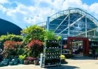 Kerry Garden Centre Business Enters New Era After Nathan McDonnell Ownership Transition