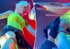 Fan Gropes Halsey on Stage at DC Concert in Shocking Video
