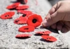 Nova Scotia Chief Justice Backs Judges’ Decision to Ban Poppies in Courtrooms