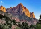 Explore the Stunning Beauty of Zion National Park Photowalks