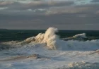 Michigan Gale Alert: Strong Winds and High Waves to Affect Tourists and Mariners