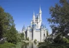 Tragic Incident: Disney Visitor Dies After Hotel Balcony Fall