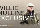Willie Mullins Offers Expert Guide to Weekend Runners at Navan