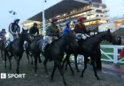 Cheltenham Races Set to Continue This Saturday Despite Storm Claudia’s Impact