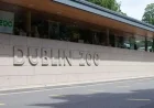 Activist Urges Transformation of Dublin Zoo into a Wildlife Sanctuary