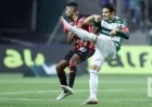 Brazil Palmeiras Draws at Home Increasing the Gap to Title for Coach Abel