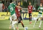 Esporte Vitória Secures Draw Against Palmeiras Yet Remains in Relegation Zone