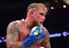 Jake Paul Criticizes Tommy Fury for Declining $15 Million Fight but Faces Immediate Response