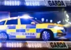 Dublin Woman Attacked in Shocking Morning Incident as Assailant Sets Her Alight