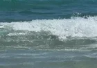 Hazardous Rip Currents Persist Through Weekend