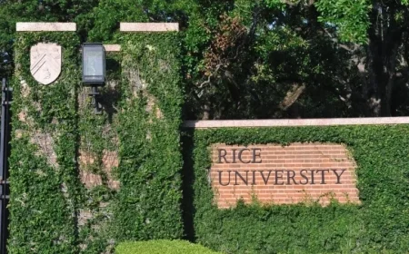 Four Universities Announce Major Investments in Brain Research